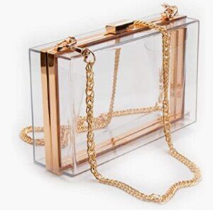 Acrylic Clear Transparent and Gold Clutch Purse